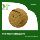 Gingerol_gingerols_  ginger root extract powder